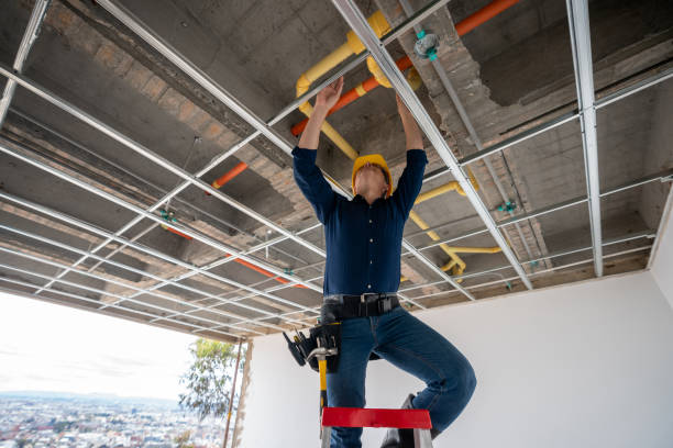 Best Leak Detection Services  in Forney, TX